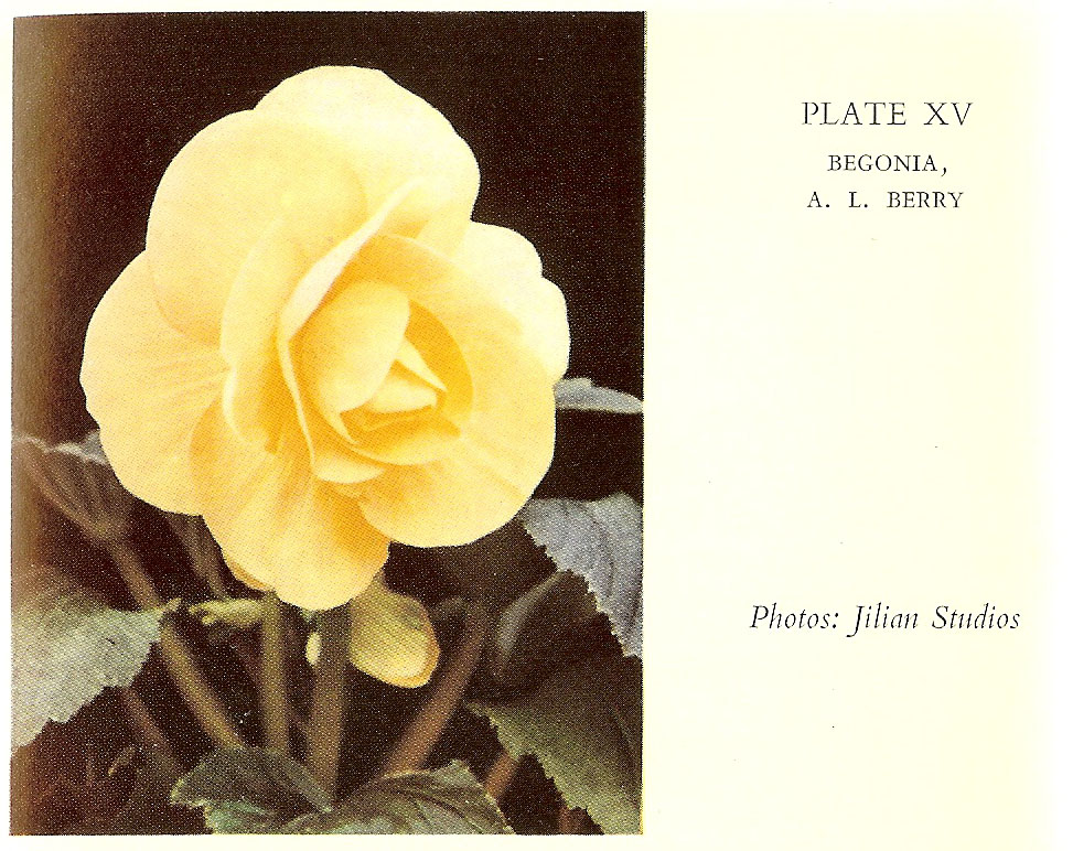 B. ‘Aldwych L. Berry’